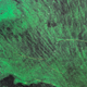 A blue-green algae bloom documented along the St. Lucie River in Port Saint Lucie, Florida, on July 5, 2016.